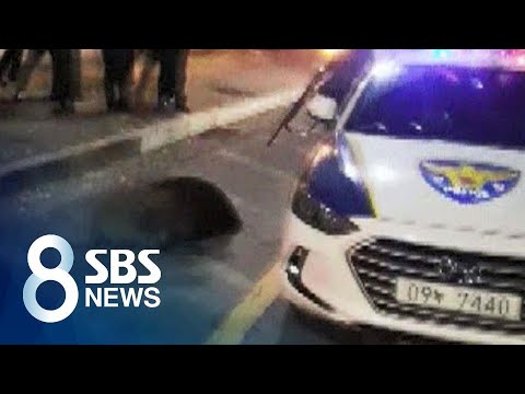 병원 <strong>공사장서</strong> 내벽 &amp;#39;와르르&amp;#39;…작업자 2명 사망 / SBS