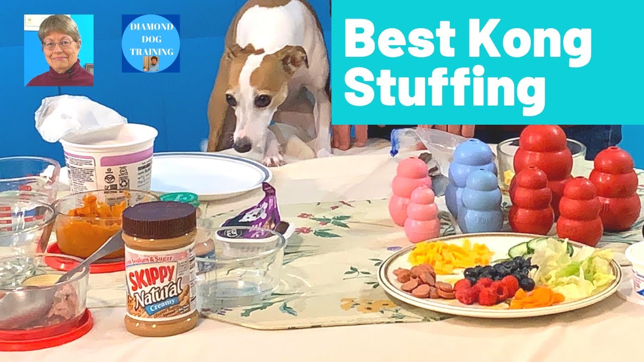 How to Use a Kong Dog Toy - Stuffing Ideas! 