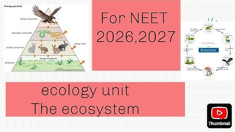 The ecosystem part -01 biotic components, functions of ecosystem,, productivity, decomposition 