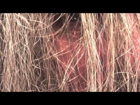 Luminous Bodies - Destroyed (Box Records)