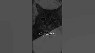 عبدالرحمن مسعد سورة التوبة #عبدالرحمن_مسعد #سورة_التوبة #قرآن_كريم #quran #islam #القرآن #الله
