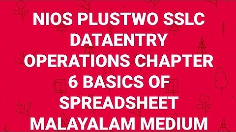 NIOS PLUSTWO SSLC DATAENTRY OPERATIONS CHAPTER 6 BASIC OF SPREADSHEET MALAYALAM MEDIUM