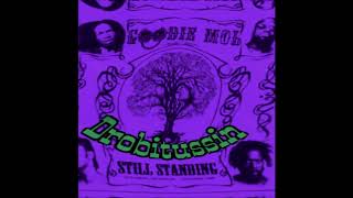 Goodie Mob - Inshallah (screwed and chopped)