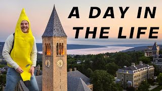 A Day in My Life at Cornell University but I'm a Banana