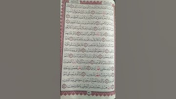 (واتل عليهم نبأ ابراهيم) من سورة الشعراء، اسلام صبحي 💓