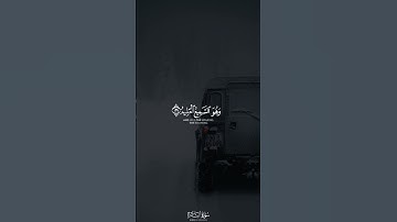 فسيكفيكهم الله وهو السميع العليم | القارئ أحمد النفيس 🎙