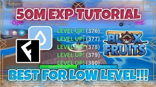 How to get 50M EXP for low level | Blox Fruits Script screenshot 3