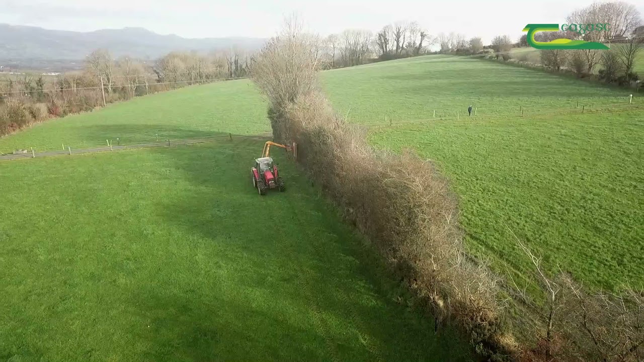 How I Cut My Hedges - Signpost 2021