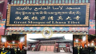حول العالم | مسجد لاسا الجامع بالتبت في الصين | مع احمد الحسيني