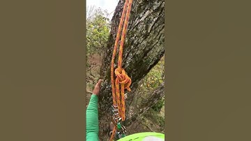 Insanely Satisfying Tree Cutting with Chainsaw #163