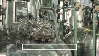 cGMP Manufacturing in Panoli, India