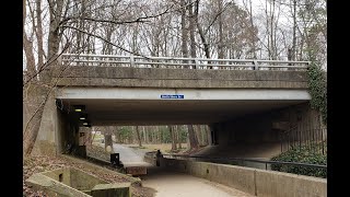 "North Shore Drive Underpass" with Julie Bitzer, President RA Board of Directors, Founder's Day 2021