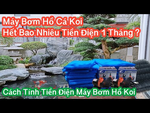 Video: Thay máy bơm nước hết bao nhiêu tiền?