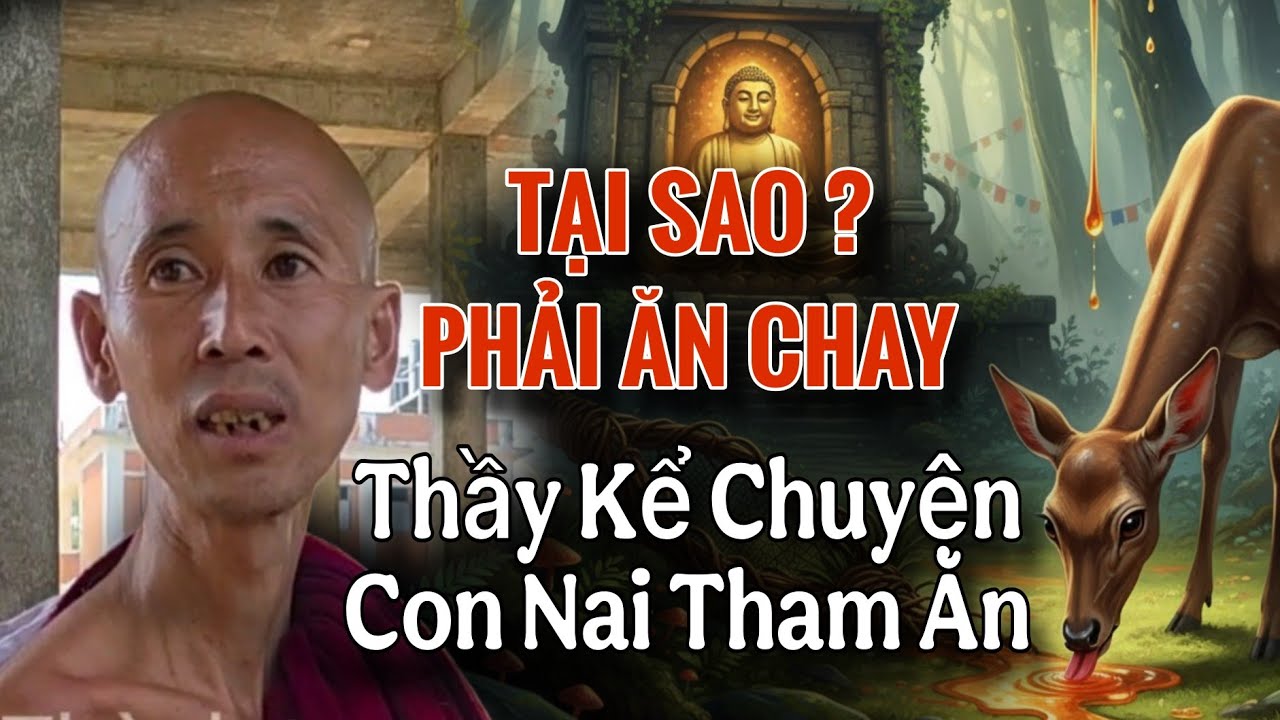 Ăn Chay là Pháp Hành - Thầy Minh Tuệ Dạy về Tham Ăn (Chuyện Con Nai) | Zen Minh Tuệ