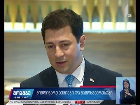 პარლამენტის თავმჯდომარე და ომბუდსმენი მიმდინარე აქციებს გამოეხმაურნენ