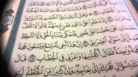 سورة ص / ص٤٥٤