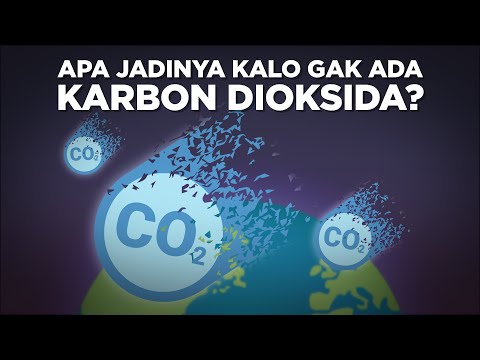 Video: Apa siklus karbon global?