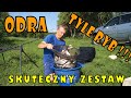 Jak POŁOWIĆ na ODRZE ? dobór SPŁAWIKA ! skuteczna ZANĘTA !