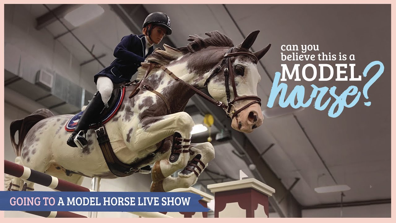The Jennifer Show 2019 and What Its Like Going to a Model Horse Live Show