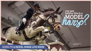 The Jennifer Show 2019 & What It's Like Going to a Model Horse Live Show