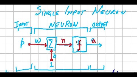 NND1 | Single Input Neuron Explained | Learn to Design Neural Networks