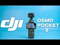 DJI Osmo Pocket 3 - The KING of Pocket Vlogging Cameras!