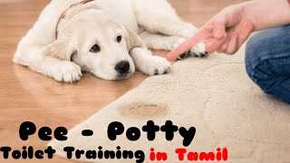 Easy Potty Training for Dogs in Tamil | Toilet Training for Dogs | Muthu The Super Dog