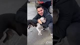 Onur Sermik Köpek Sevgisi