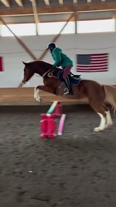 End of an era #horses #equestrian #chestnutmare