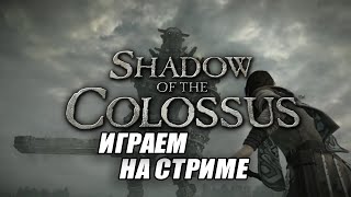 Играем в Shadow of the Colossus на PS4 Pro