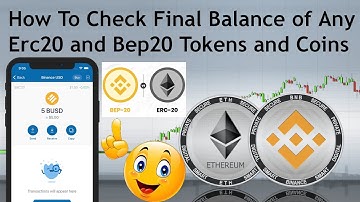 How To Check Final Balance of Any Erc20 and Bep20 Tokens and Coins | BSC Wallet