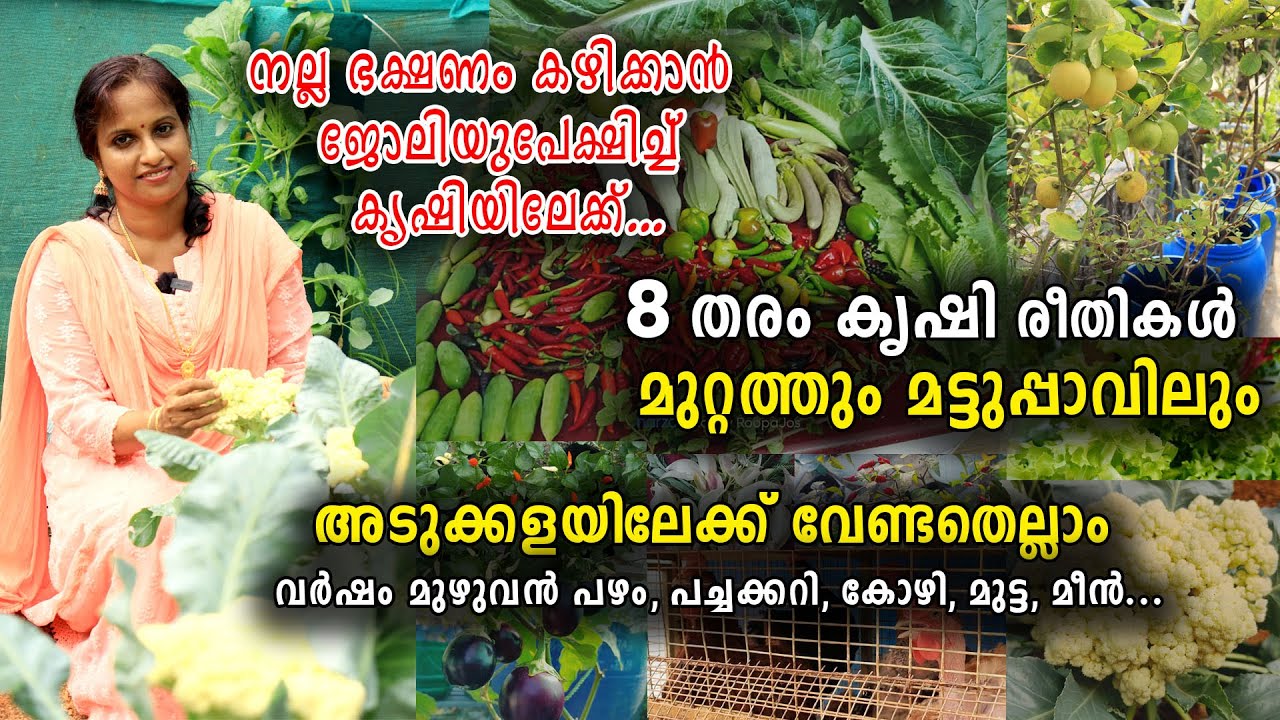 8 തരം കൃഷി രീതികൾ  മുറ്റത്തും മട്ടുപ്പാവിലും | നല്ല ഭക്ഷണം കഴിക്കാൻ ജോലിയുപേക്ഷിച്ച് കൃഷിയിലേക്ക്...