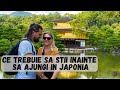 Everything You Need To Know Before Visiting Japan 