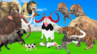 Giant Lion Fight Cow Cartoon Buffalo Gorilla Attack Tiger Cub Save By 5 Mammoth Elephant vs 5 Tigers