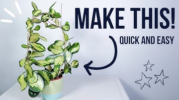 how to make a DIY wire plant trellis | stylish plant display