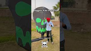 Biggest Skeleton Kite in world #kiteflyingfestival #shortsviral #trendingshorts #basant