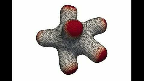 3D vertex model: coupled with Turing model