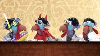 פולקע-על ארבעה תרנגולים... ערוץ מאיר