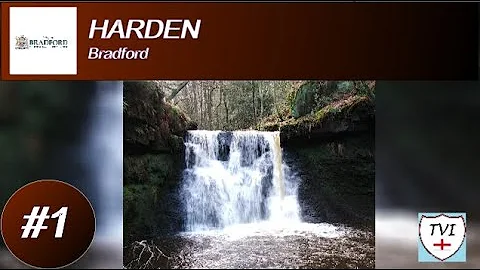 HARDEN: Bradford Parish #1 of 20