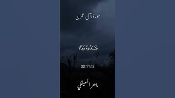 وَإِذْ أَخَذَ اللَّهُ مِيثَاقَ الَّذِينَ أُوتُوا الْكِتَابَ|#سورة_آل_عمران #ماهر_المعيقلي