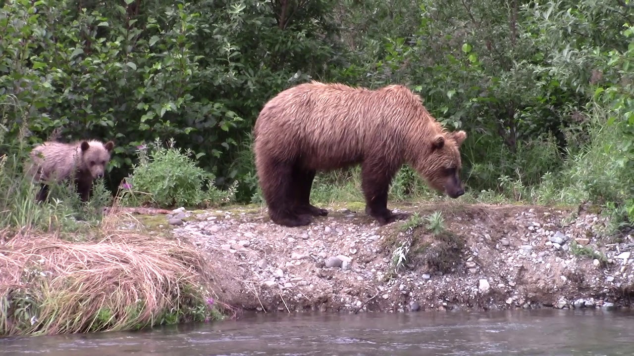 Grundens in Alaska YouTube Grundens in Alaska YouTube