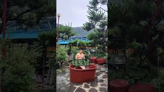 #테토남 #쾌남 #상남자 내가 물에 있다면 그곳이 태평양이다