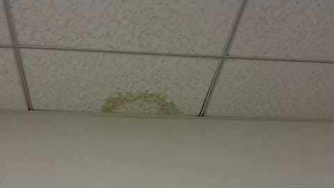 Inspecting Your Server Room - Checking for Water Leaks - Bowers Technologies