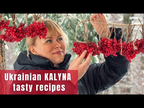 Ukrainian berry KALYNA - gathering, storing and cooking healthy desserts ❘ Cooking during blackout