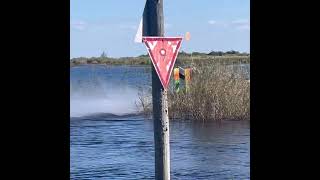 Air boat with corvette engine on Lake Okeechobee, FL 🚤💨🐊