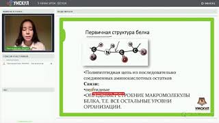 Строение белка | Биология ЕГЭ 2020 | УМСКУЛ