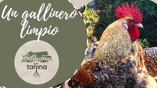 Limpia el GALLINERO para tener gallinas FELICES