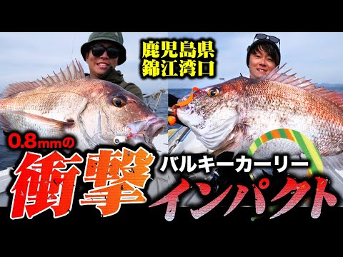 【鹿児島タイラバ】バルキーカーリー・インパクトが生み出す0.8mmの“衝撃”（インパクト）！鹿児島県・錦江湾口のノッコミタイラバで大爆釣！