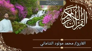القارئ محمد مولود الشاماني تلاوة عراقية من سورة الأنبياء من الآية ١٩ إلى الآية ٤٧