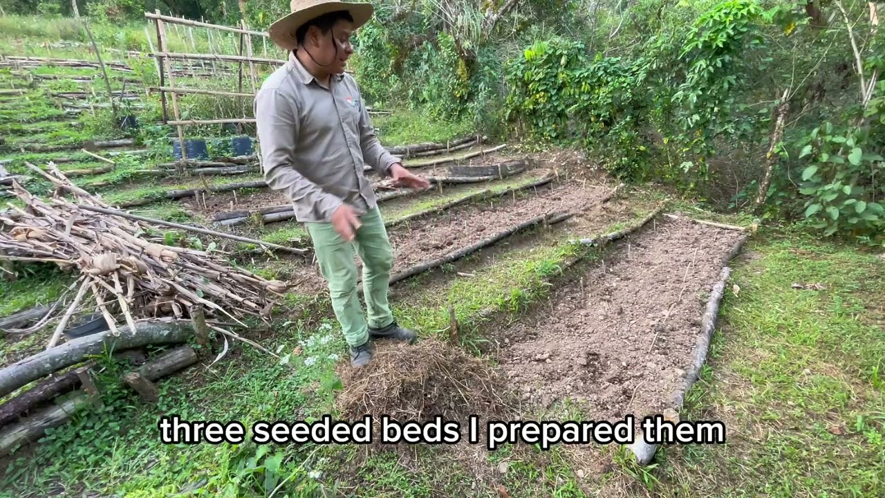 No pudimos sembrar maíz a tiempo pero hice esto… 👨🏻‍🌾👨🏽‍🌾